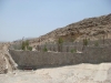 bagh