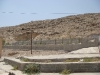 bagh2