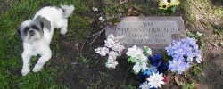 2003-0525-Libby-at-jim-the-Wonder-Dogs-grave 2003-0525-Libby-at-jim-the-Wonder-Dogs-grave